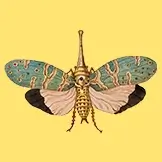 Image for Exploring new ways of working to embed digital skills