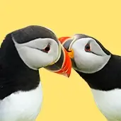 Image for Crowdsourcing images in Wales to track environmental changes