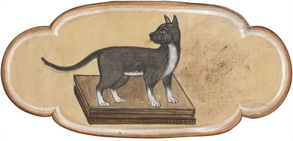 Illustration of Thai cats from Animal Tales, showing two cats in a playful pose, one standing and the other seated.