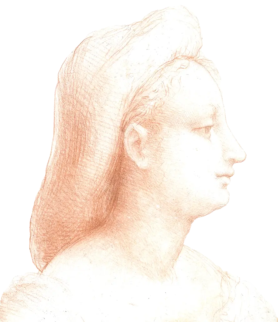 Illustration of a lady's profile view in a portrait by Beccafumi.