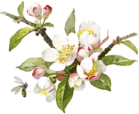 Illustration from 'The Story of a Picture' (1893), showcasing a decorative scene with a bee and flower motifs.