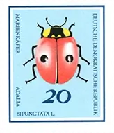 Photo of a postage stamp from Germany (DDR) in 1968, featuring an illustrated ladybird.